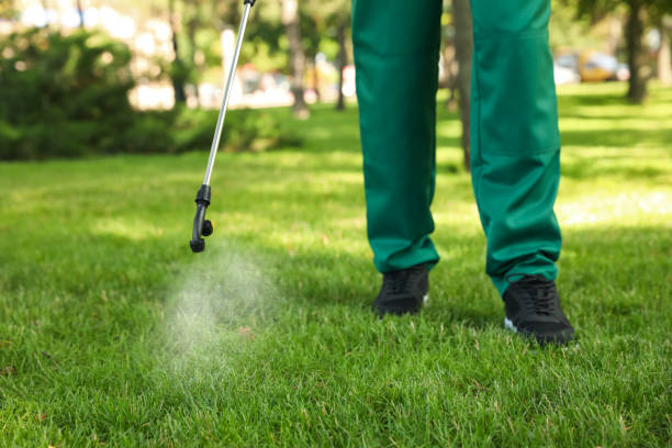 Best Pest Removal Services  in Lochmoor Waterway Estates, FL