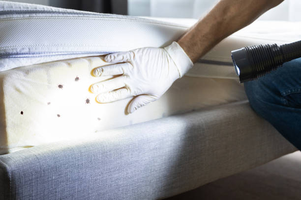 Best Commercial Pest Control Services  in Lochmoor Waterway Estates, FL