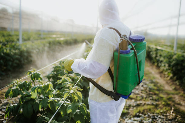 Pest Control for Restaurants in Lochmoor Waterway Estates, FL